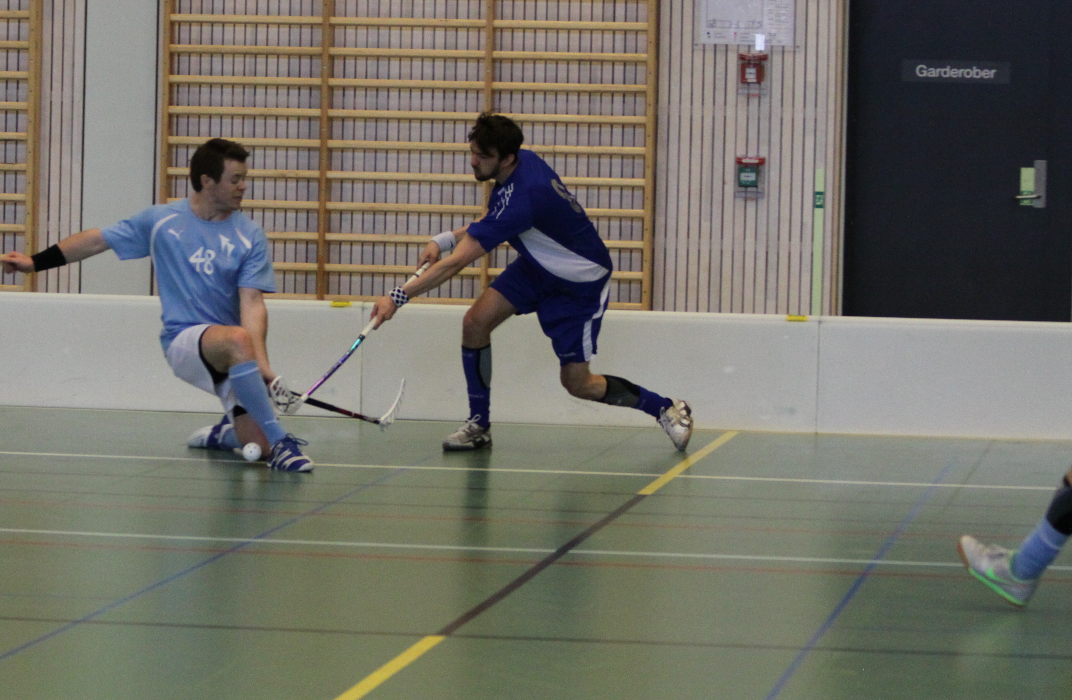 Innebandy 671.jpg